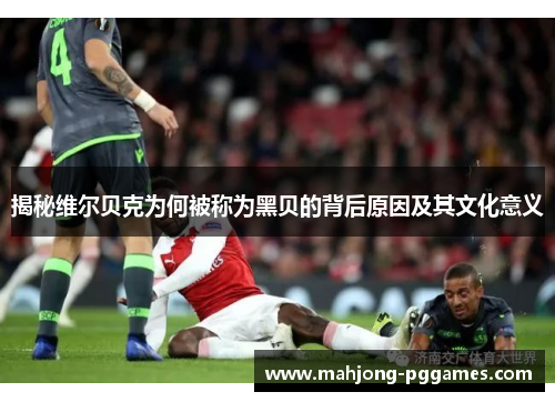 揭秘维尔贝克为何被称为黑贝的背后原因及其文化意义