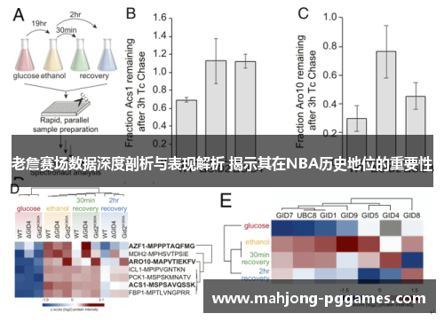 老詹赛场数据深度剖析与表现解析 揭示其在NBA历史地位的重要性