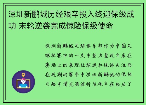 深圳新鹏城历经艰辛投入终迎保级成功 末轮逆袭完成惊险保级使命