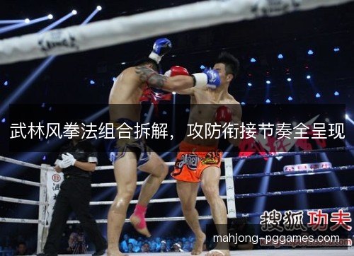武林风拳法组合拆解，攻防衔接节奏全呈现